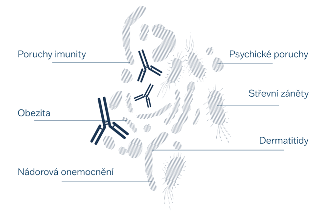  16S Microbiome NGS Assay