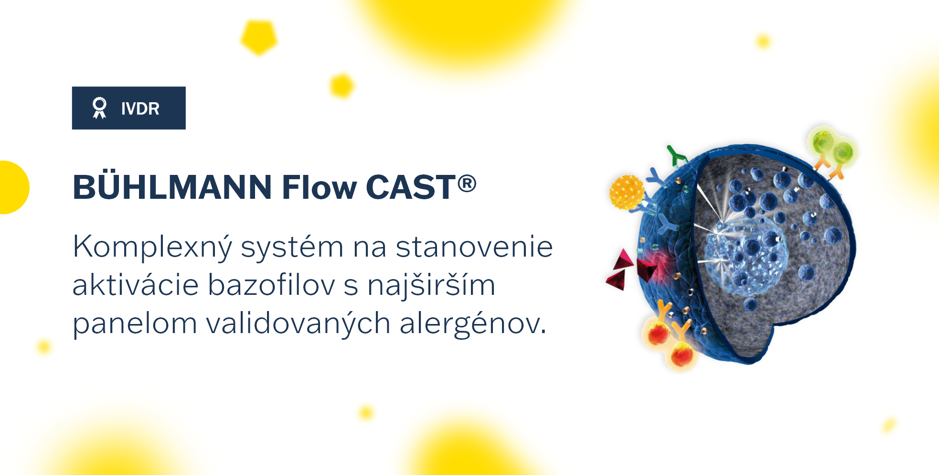 Flow-cast_SK_big_16.3.