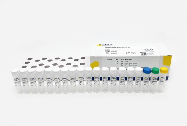 Súprava fastGEN Brain Cancer kit