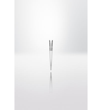E-shop galerijní obrázek
