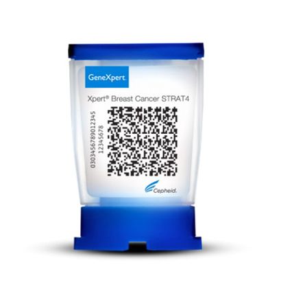 E-shop hlavní obrázek