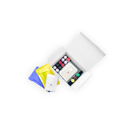 E-shop galerijní obrázek