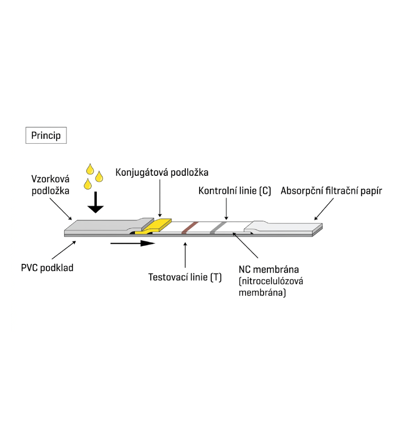 E-shop galerijní obrázek